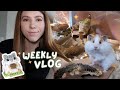 A Chaotic Week | Pet Vlog 🐾