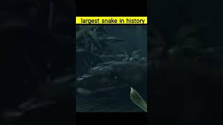 largest snake in history titanoboa snake #shorts #titanoboasnake