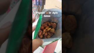 Dont buy this product🤬😡🤮| Apis Royal Zahid dates| 🦇🐦Pigeon 💩 in this product| #shorts #viral #apid