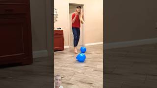 Tanya brings blue balloon to tje dog😂#shots#@mrsetara #dog #funny #balloon #snuggly #jiggle #binky