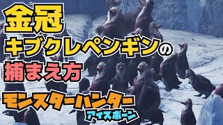 キブクレペンギン金冠サイズを捕獲する方法 モンスターハンターアイスボーン モンハン ワールド アイスボーン ペンギン 調査協力