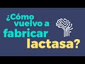 ¿Cómo vuelvo a fabricar lactasa?