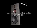 hivi swans h8 new generation of h series 2020 hivi惠威新一代h8三路分频八寸低音有源音箱