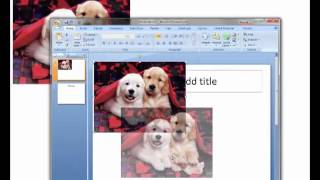 Citing Pictures from Google.mp4