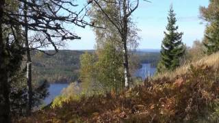 Ängenleden i södra Gräsmark