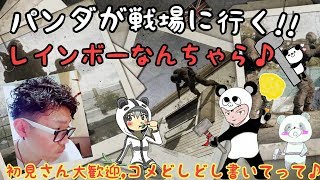 パンダが戦場に行く!!レインボーシックス！初見s大歓迎,コメどしどし書いてって