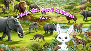 Meet the Land Animals! Fun and Educational Animal Facts for Kids - Learn with Wildlife! | Part 1