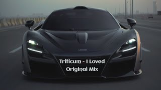 Triticum - I Loved (Original Mix)