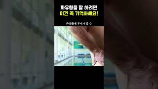 자유형 잘 하려면 이건 꼭 기억하세요 🦭 #shorts