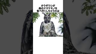 「鳥界最強」オウギワシのかっこよすぎる雑学part2 #shorts