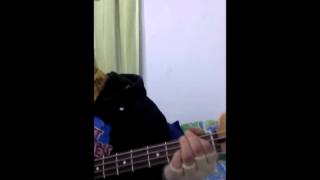 Pagaras - Dildo/DLD (bass cover)