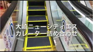 大崎ニューシティエスカレーター詰め合わせ escalator Osaki New City building Tokyo Japan