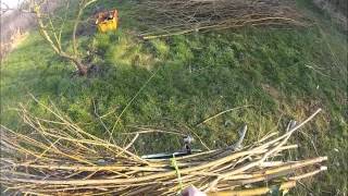 Further ramblings on hedgerow management