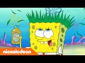 سبونج بوب | مستر سلطع وكارين أصدقاء؟ | Nickelodeon Arabia