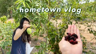 🏡 Hometown Vlog | visiting my parents in a small town, Thailand