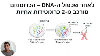 הקדמה למיטוזה ומיוזה (לבגרות בביולוגיה)