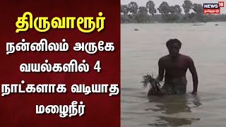 Tamil Nadu Rain Updates | திருவாரூர் :நன்னிலம் அருகே வயல்களில் 4 நாட்களாக வடியாத மழைநீர் | Rain News