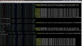 Git Workshop: You're Doing it Wrong