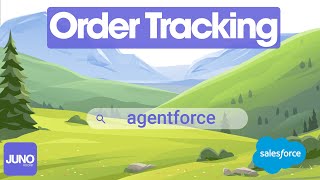 Agentforce for Salesforce leveraging DataCloud with JunoOrders for an Order Tracking Demo