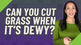 Can you cut grass when it's dewy?