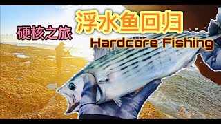 【Jack's Fishing life vlog#77】👍💪💪硬核钓鱼 带鱼浮水两不误  鲣鱼提前回归 #Sydney fishing#how to catch bonito#bonito#悉尼钓鱼