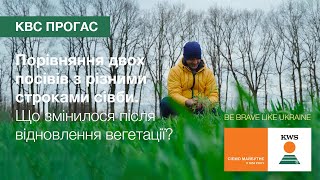 Порівняння 2 посівів КВС ПРОГАС з різними строками сівби. Що змінилося після відновлення вегетації?