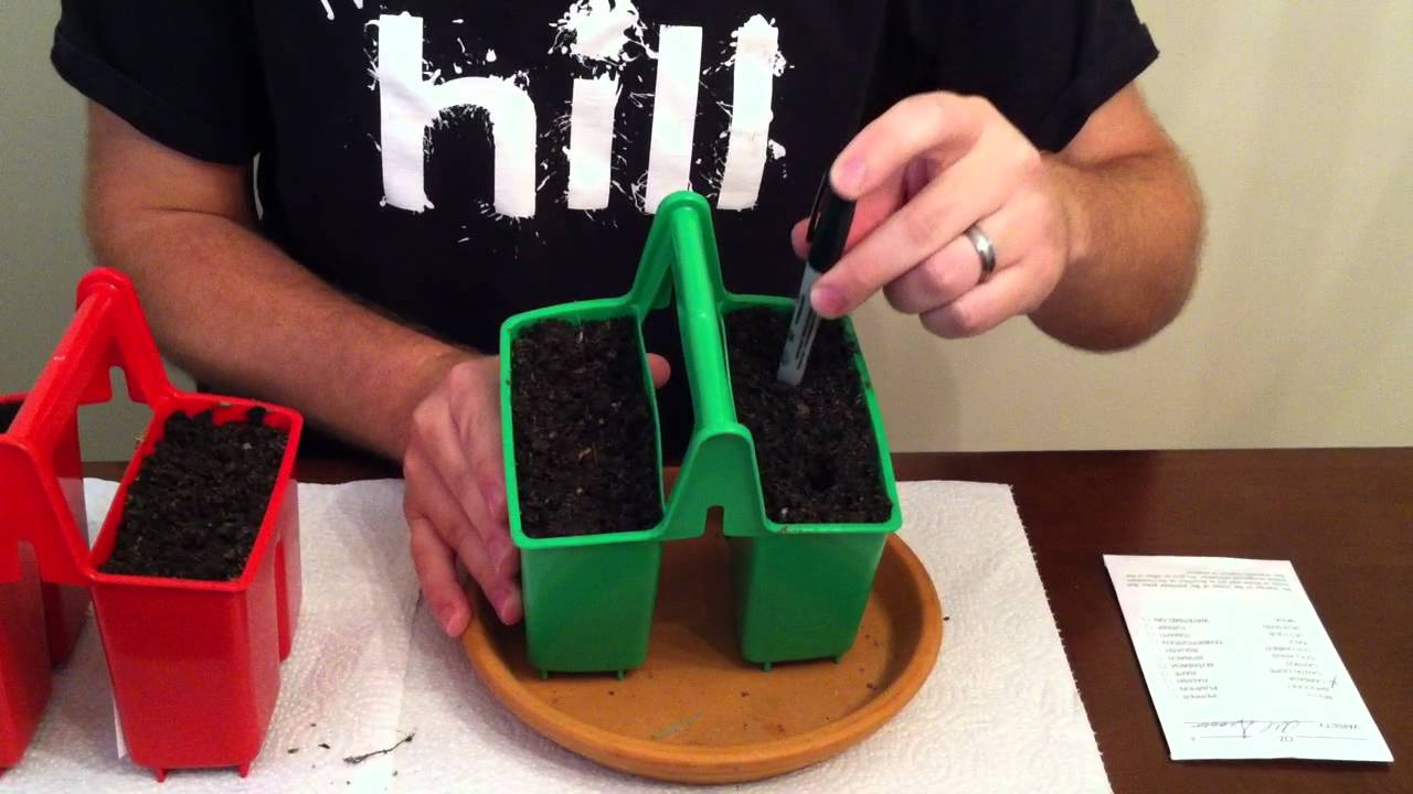 Starting Seeds Indoors - YouTube