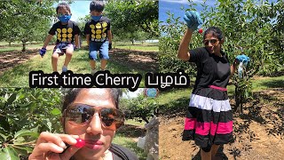 Quarantine Cherry🍒picking First time in summer with Bloopers in lockdown |Family Traveler VLOGS |USA