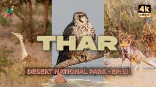 On the Brink: Witnessing the Great Indian Bustard in Thar Desert Biodiversity | 4K | Hindi Subtitles