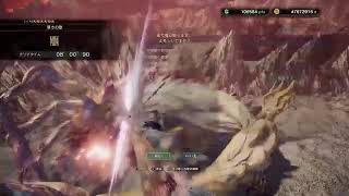 [MHW:IB] 参加型配信スタートお手伝いもします！