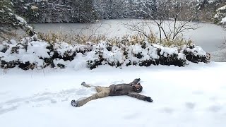 雪の極楽寺山初詣 佐伯運動公園コース