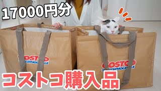 10月のコストコで限定商品ゲットしてきました！！【17000円分】