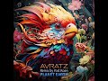 Avratz - Planet Earth (Yost Koen Rework)