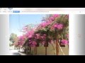 Bootstrap Carousel