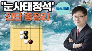 [한철균의 이거 알면 고수!] Ep.10 눈사태정석 간단 총정리(필수시청!)