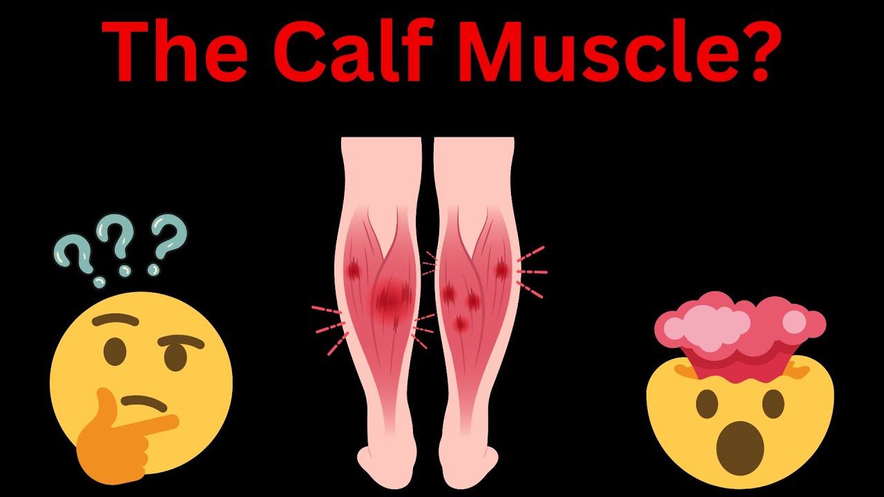 The Calf Muscle Really Is Your Second Heart! (MUST WATCH) - YouTube