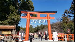 Vlog3～出町柳から上賀茂神社　ブラリ散歩　#散歩#京都#神社