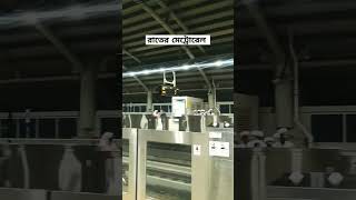 রাতের মেট্রোরেল 👍👍👍 #মেট্রোরেল #dhakametro #travel