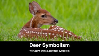 Deer Symbolism