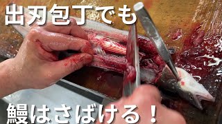 うちは出刃包丁で鰻を捌きます（笑）　#うなぎ#魚#捌く