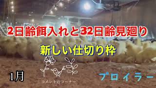 2日齢餌入れと32日齢見廻り 新しい仕切り枠 コメントのコーナー