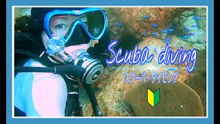 【スキューバダイビング】初心者ダイバー♪海の世界を満喫〜GoProで撮影〜