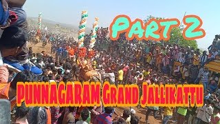 Jallikattu videos - Jallikattu Tamila Hosur Jallikattu Punnagaram Racing 2019