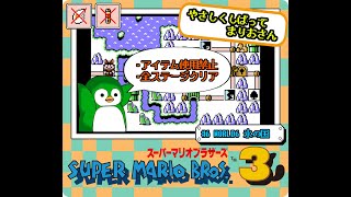 やさしくしばってまりおさん #6 WORLD6 氷の国【スーパーマリオブラザーズ３】