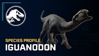 Species Profile - Iguanodon