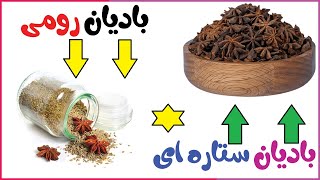 خواص بادیان رومی و ستاره ای برای لاغری / بادیان ختابی برای جوانی پوست بارداری رحم