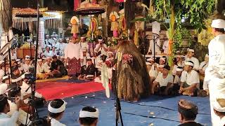 Cikho Cis Nyongsong Ida Bhetari Napak Siti ring pura Penataran Bukit, Pengembungan Bongkasa Badung🙏!