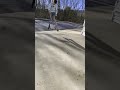 Double whip!!! #scootering #smooth #tiltscooters #envyscooters #protoscooters #odi #air #scoot#short