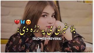 Bala habare me pa zra de😘😥😇#new soung#pashto #pashtotapy #beatifullsong  #pashtosong #majnoontypist5