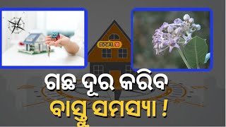 Ganjam | ଘରର ବାସ୍ତୁର ସମସ୍ୟା ଦୂର କରିବା ପାଇଁ କରନ୍ତୁ ଏହି ସରଳ ଉପଚାର | #local18 | Odia News